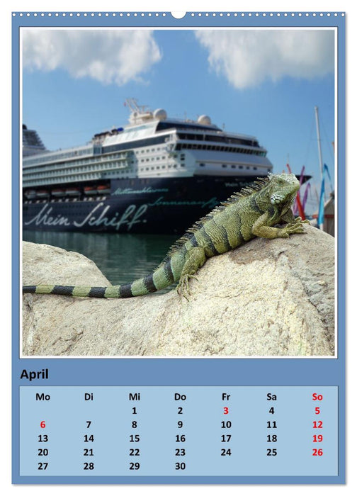 Karibik - Eindrücke einer Kreuzfahrt (CALVENDO Wandkalender 2026)