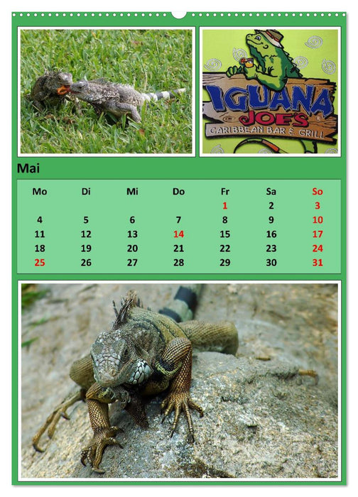 Karibik - Eindrücke einer Kreuzfahrt (CALVENDO Wandkalender 2026)