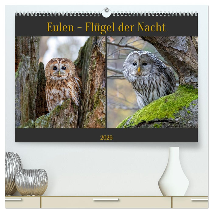 Eulen - Flügel der Nacht (CALVENDO Premium Wandkalender 2026)