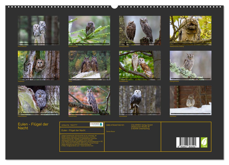 Eulen - Flügel der Nacht (CALVENDO Premium Wandkalender 2026)