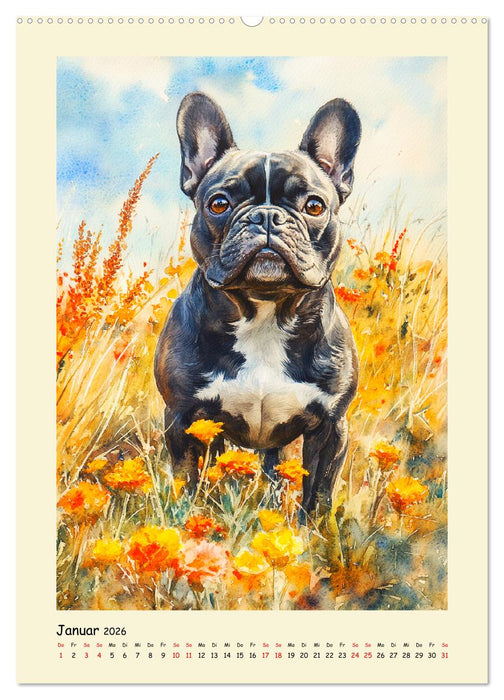 Charmante Bulldoggen. Französische Lebensfreude auf vier Pfoten (CALVENDO Wandkalender 2026)