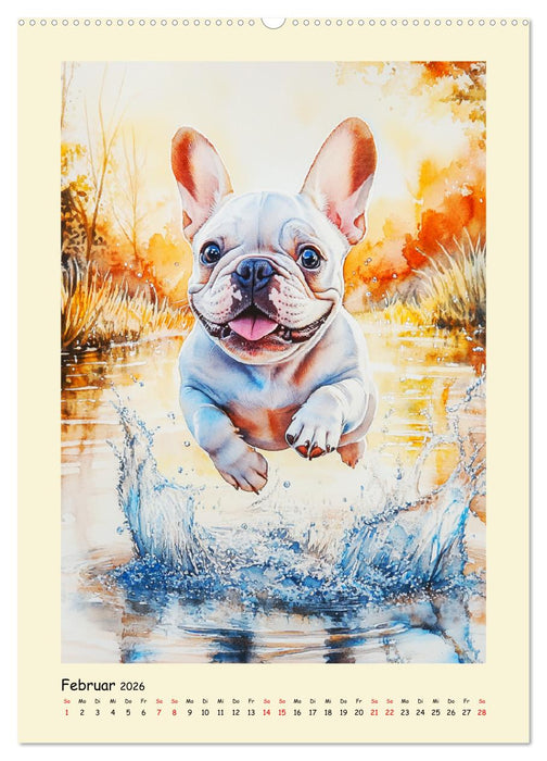 Charmante Bulldoggen. Französische Lebensfreude auf vier Pfoten (CALVENDO Premium Wandkalender 2026)