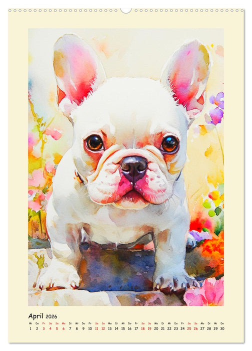Charmante Bulldoggen. Französische Lebensfreude auf vier Pfoten (CALVENDO Premium Wandkalender 2026)