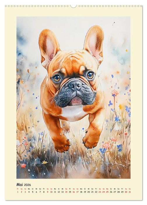 Charmante Bulldoggen. Französische Lebensfreude auf vier Pfoten (CALVENDO Premium Wandkalender 2026)