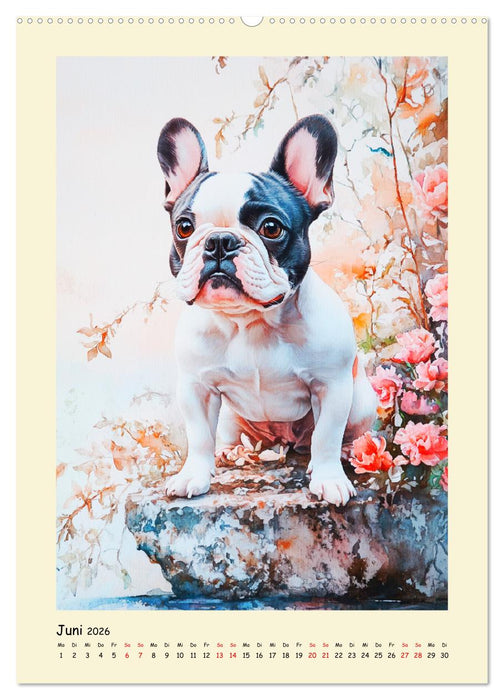 Charmante Bulldoggen. Französische Lebensfreude auf vier Pfoten (CALVENDO Premium Wandkalender 2026)