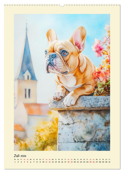 Charmante Bulldoggen. Französische Lebensfreude auf vier Pfoten (CALVENDO Premium Wandkalender 2026)