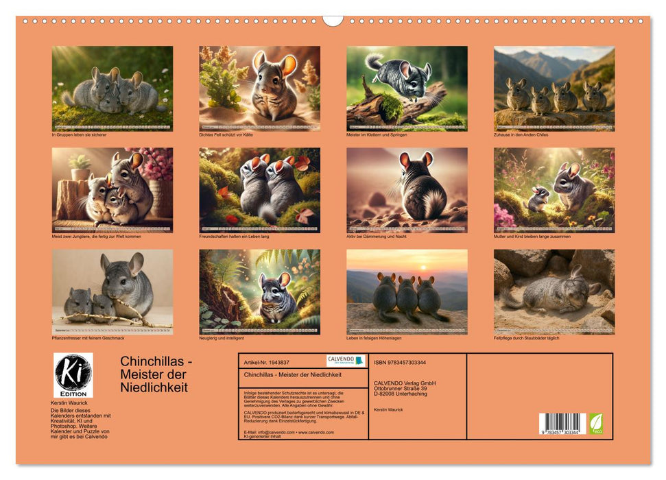 Chinchillas - Meister der Niedlichkeit (CALVENDO Wandkalender 2026)