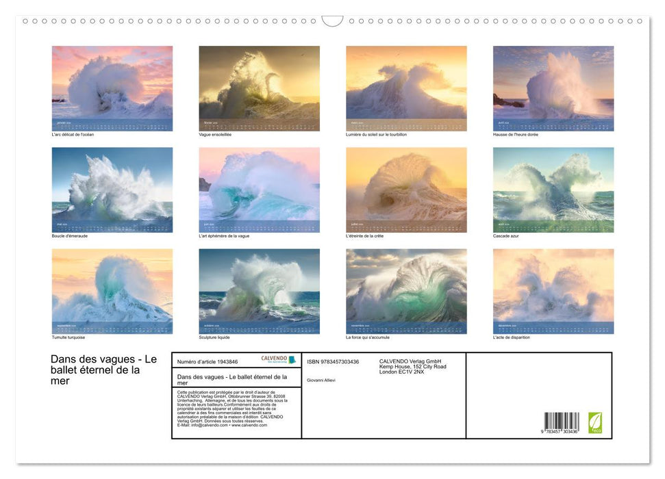 Dans des vagues - Le ballet éternel de la mer (CALVENDO Calendrier mensuel 2026)