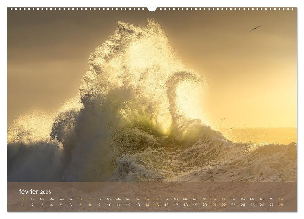 Dans des vagues - Le ballet éternel de la mer (CALVENDO Calendrier mensuel 2026)