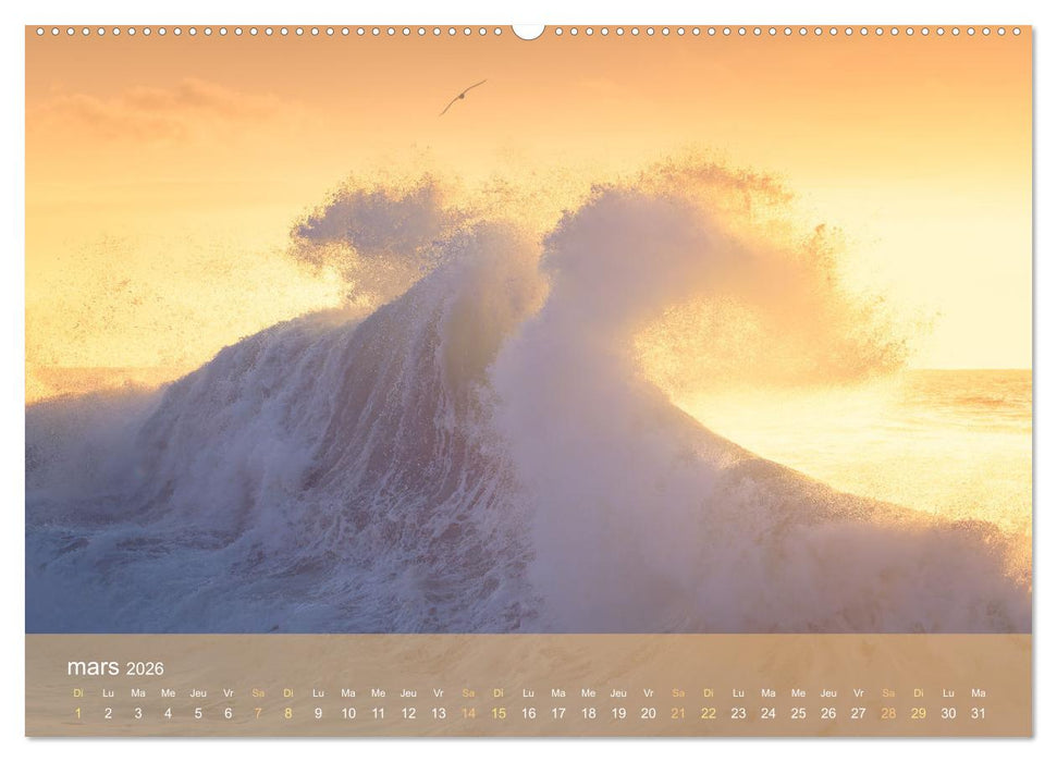 Dans des vagues - Le ballet éternel de la mer (CALVENDO Calendrier supérieur 2026)