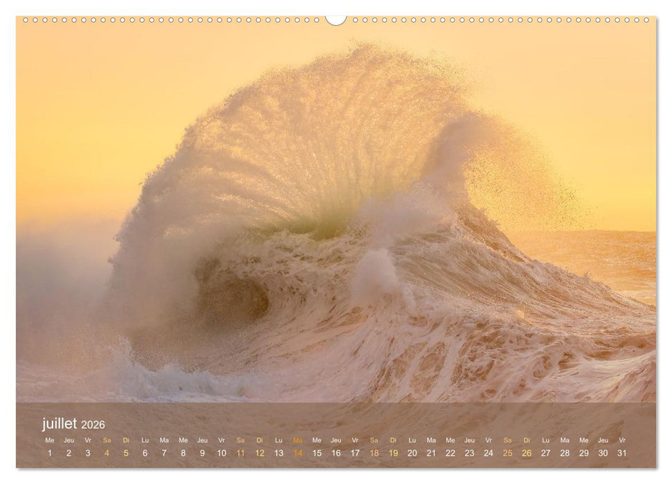 Dans des vagues - Le ballet éternel de la mer (CALVENDO Calendrier supérieur 2026)