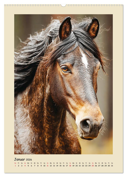 Amerikanische Mustangs. Symbole für Freiheit und Pioniergeis (CALVENDO Premium Wandkalender 2026)