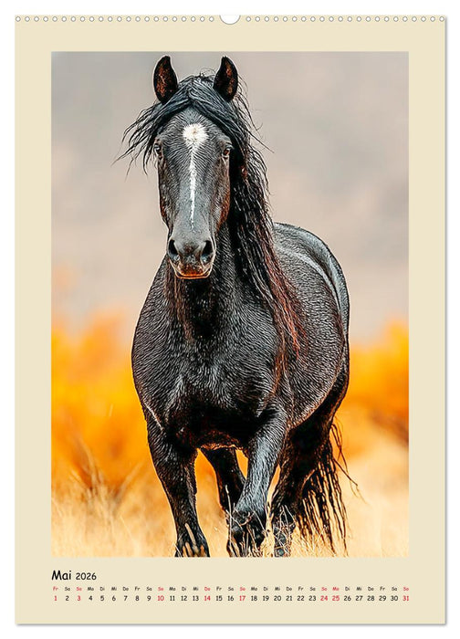 Amerikanische Mustangs. Symbole für Freiheit und Pioniergeis (CALVENDO Premium Wandkalender 2026)