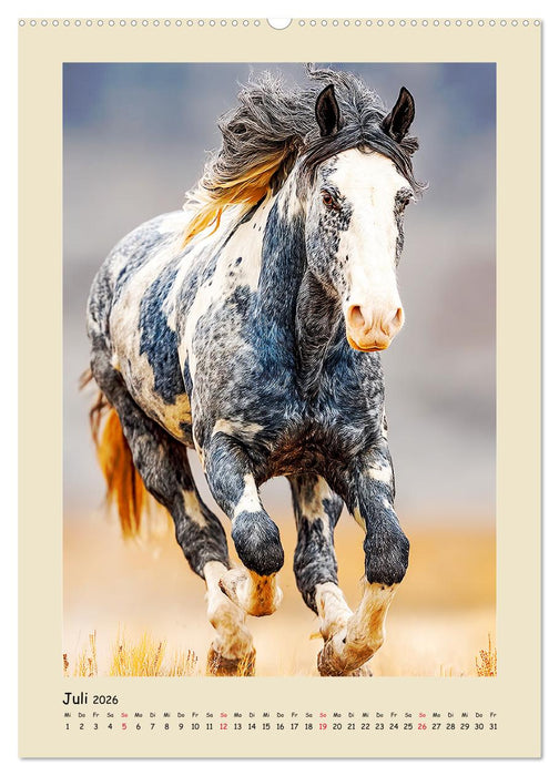 Amerikanische Mustangs. Symbole für Freiheit und Pioniergeis (CALVENDO Premium Wandkalender 2026)