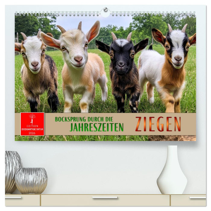 Ziegen - Bocksprung durch das Jahr (CALVENDO Premium Wandkalender 2026)
