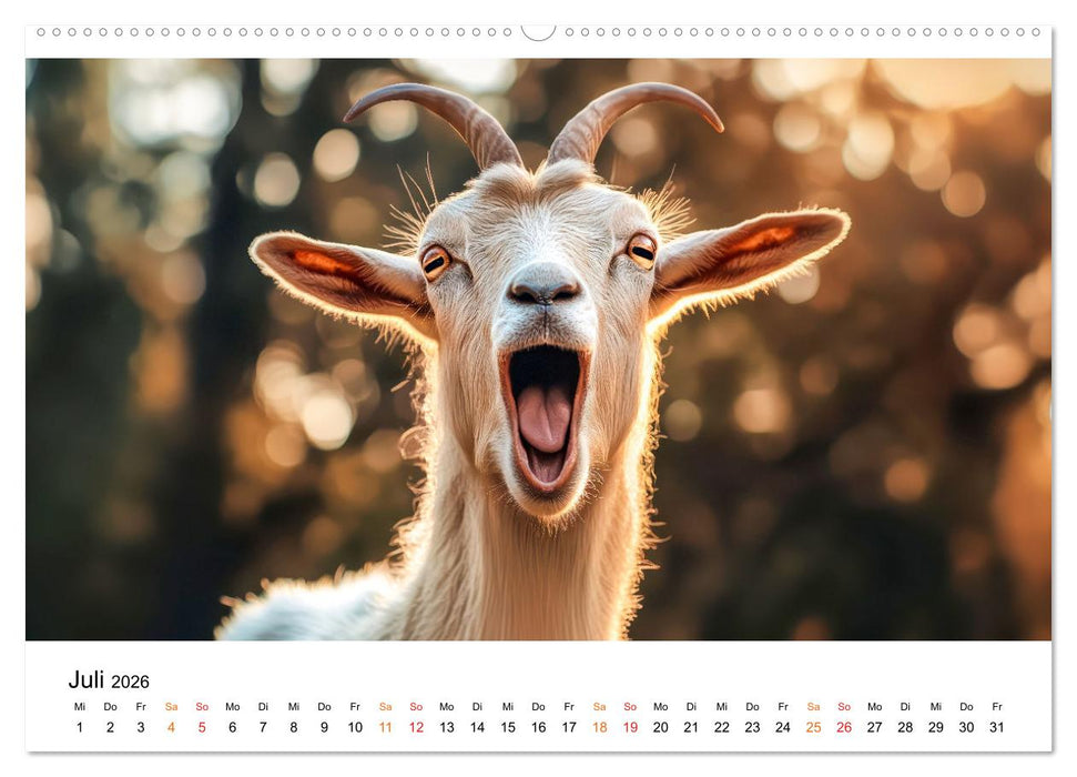 Ziegen - Bocksprung durch das Jahr (CALVENDO Premium Wandkalender 2026)