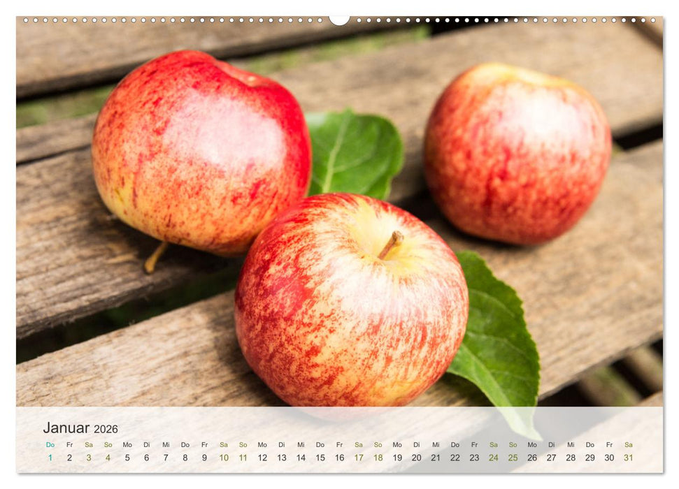 ApfelZEIT - Natürlich köstlich (CALVENDO Premium Wandkalender 2026)