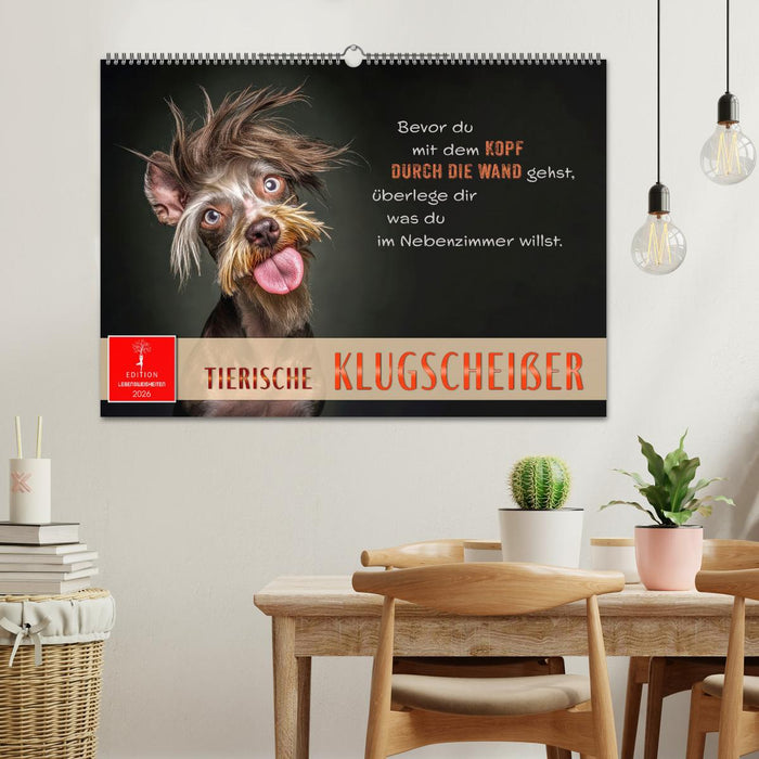 Tierische Klugscheißer (CALVENDO Wandkalender 2026)