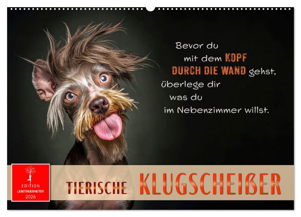 Tierische Klugscheißer (CALVENDO Wandkalender 2026)