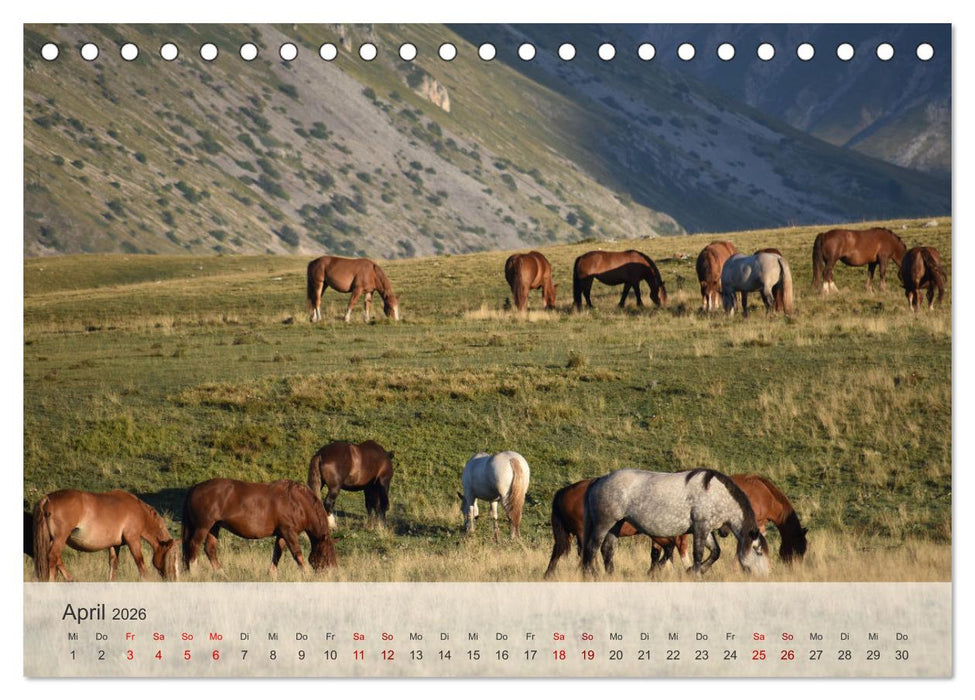 Abruzzen - wild und romantisch (CALVENDO Wandkalender 2026)