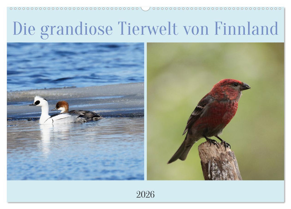 Die grandiose Tierwelt von Finnland (CALVENDO Wandkalender 2026)