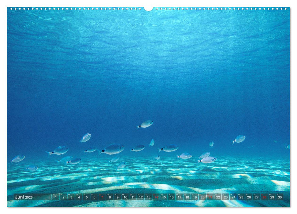 Sardinien - Karibik des Mittelmeers (CALVENDO Wandkalender 2026)