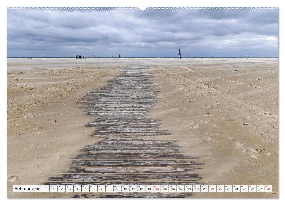 Inselbilder Amrum (CALVENDO Wandkalender 2026)