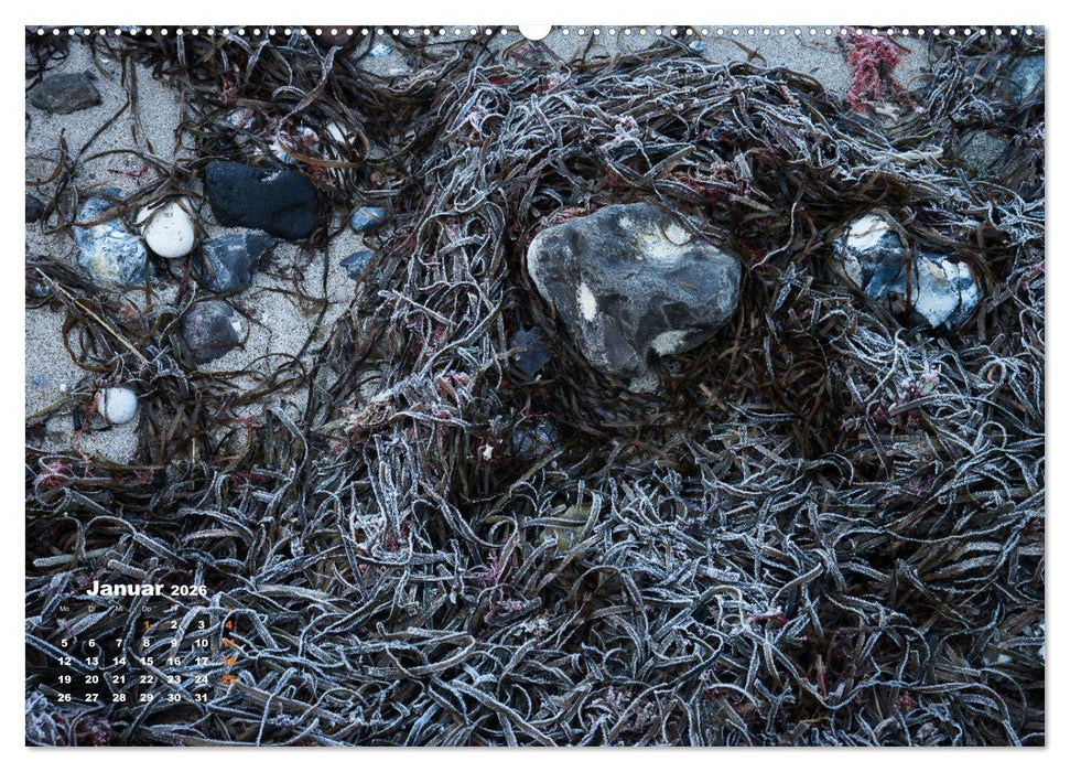 ... wie kleine Wellen tanzen ... (CALVENDO Wandkalender 2026)