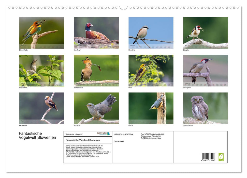 Fantastische Vogelwelt Slowenien (CALVENDO Wandkalender 2026)