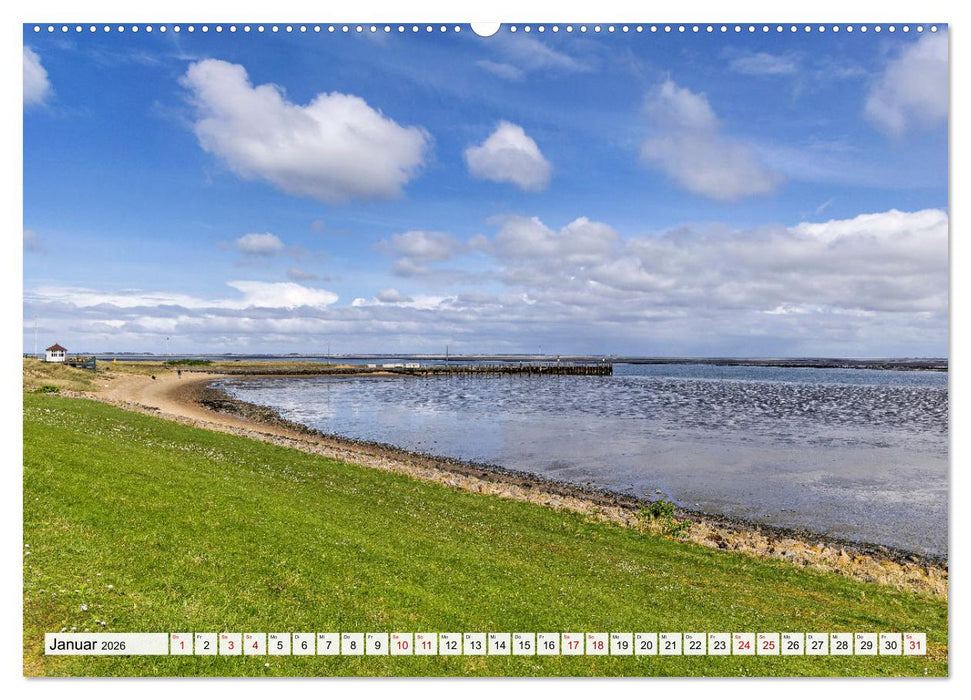 Inselbilder Amrum (CALVENDO Premium Wandkalender 2026)
