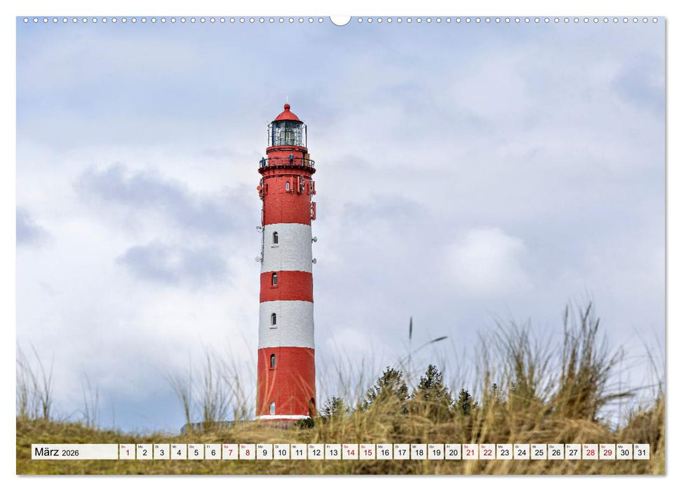 Inselbilder Amrum (CALVENDO Premium Wandkalender 2026)