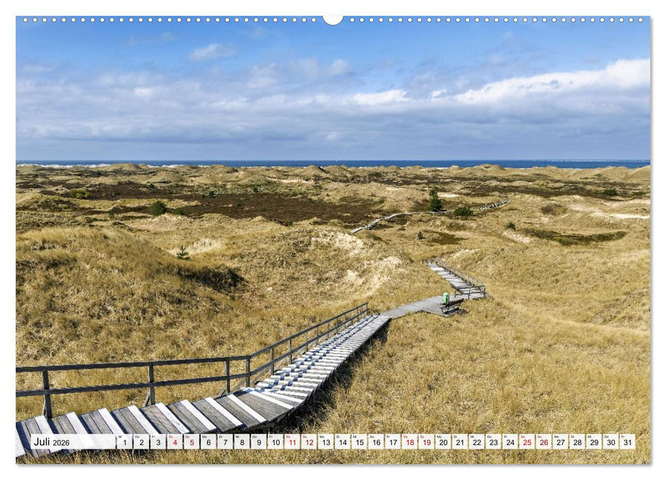 Inselbilder Amrum (CALVENDO Premium Wandkalender 2026)