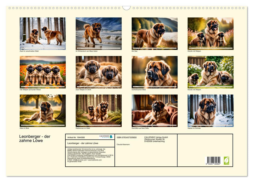 Leonberger - der zahme Löwe (CALVENDO Wandkalender 2026)