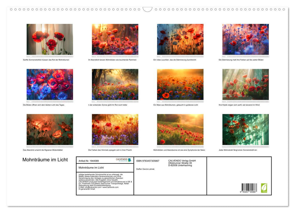 Mohnträume im Licht (CALVENDO Wandkalender 2026)