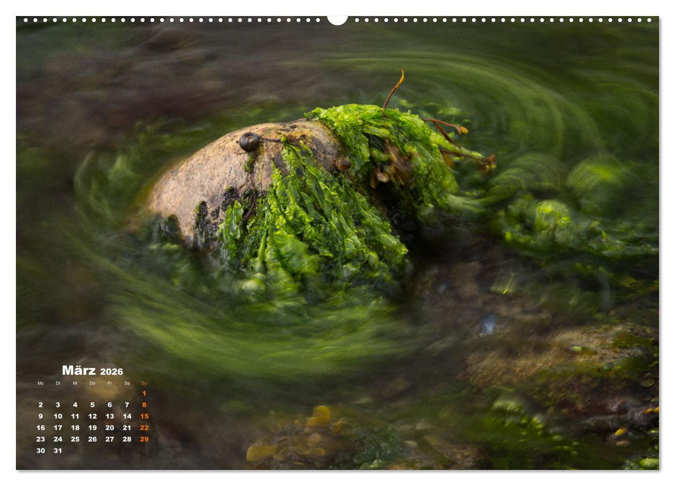 ... wie kleine Wellen tanzen ... (CALVENDO Premium Wandkalender 2026)