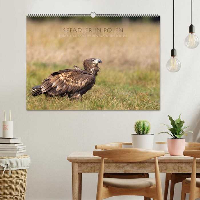 Seeadler in Polen (CALVENDO Wandkalender 2026)