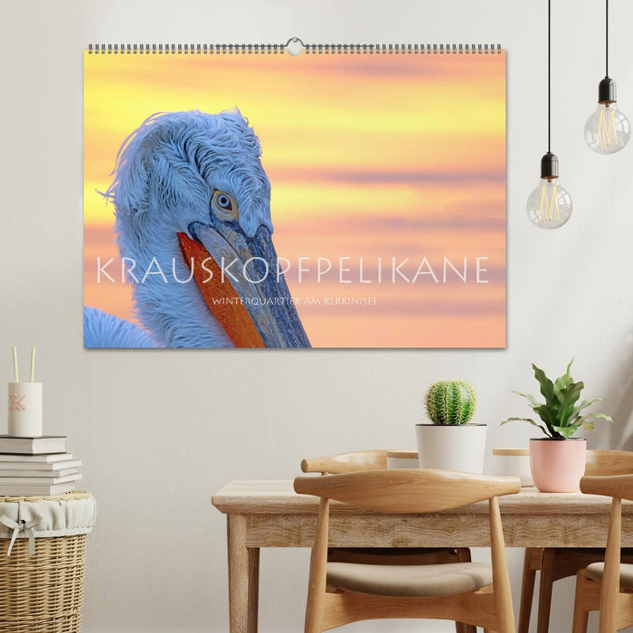 Krauskopfpelikane (CALVENDO Wandkalender 2026)