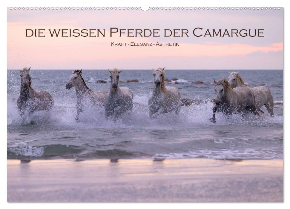 Die weißen Pferde der Camargue (CALVENDO Wandkalender 2026)