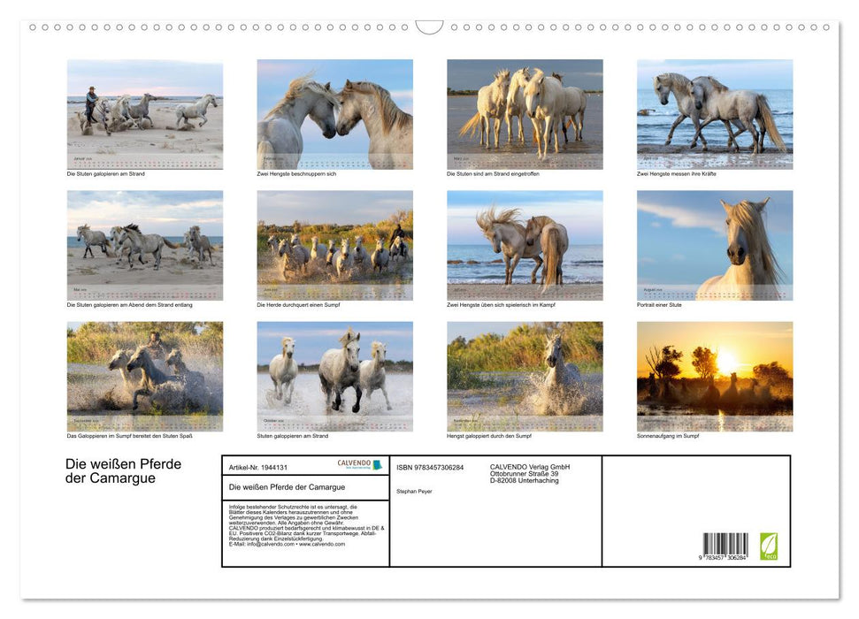 Die weißen Pferde der Camargue (CALVENDO Wandkalender 2026)
