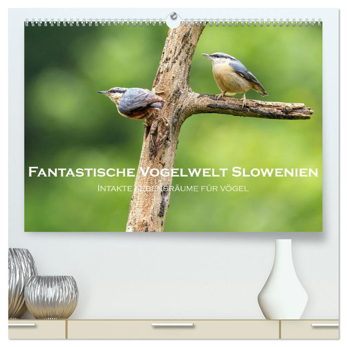 Fantastische Vogelwelt Slowenien (CALVENDO Premium Wandkalender 2026)