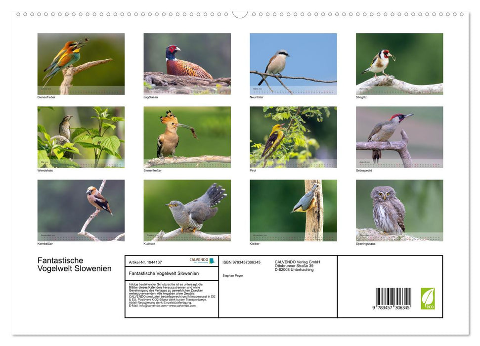 Fantastische Vogelwelt Slowenien (CALVENDO Premium Wandkalender 2026)
