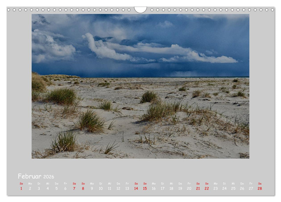 Küsten an Nord- und Ostsee (CALVENDO Wandkalender 2026)