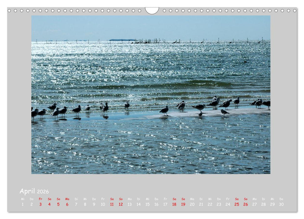 Küsten an Nord- und Ostsee (CALVENDO Wandkalender 2026)