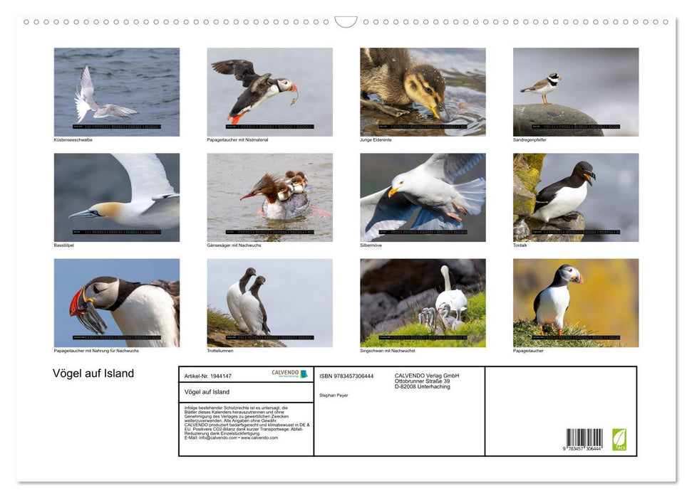 Vögel auf Island (CALVENDO Wandkalender 2026)
