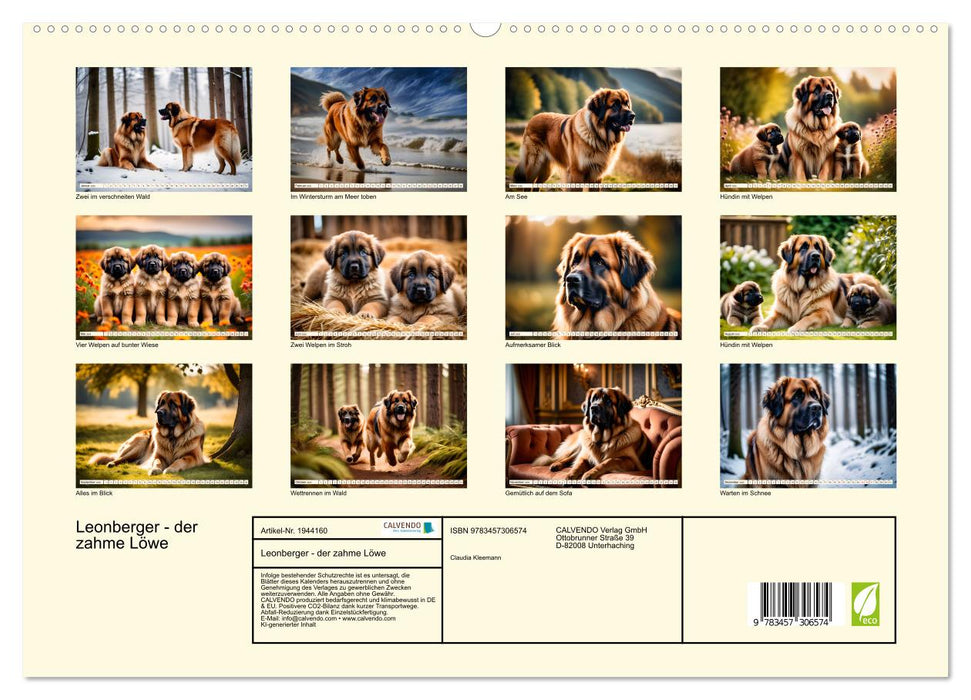 Leonberger - der zahme Löwe (CALVENDO Premium Wandkalender 2026)