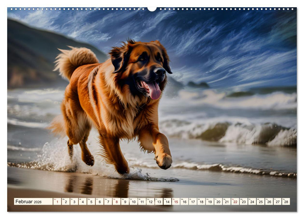 Leonberger - der zahme Löwe (CALVENDO Premium Wandkalender 2026)