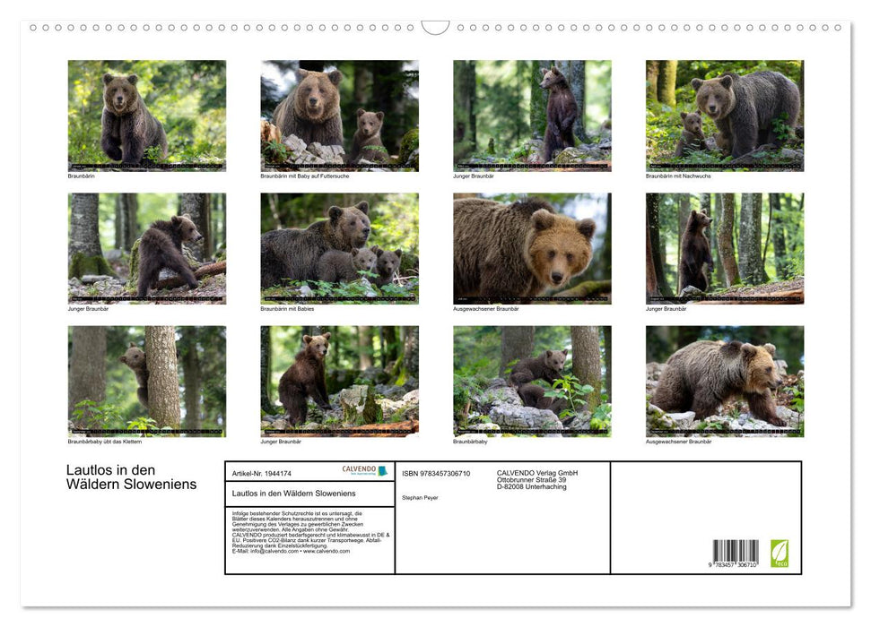 Lautlos in den Wäldern Sloweniens (CALVENDO Wandkalender 2026)