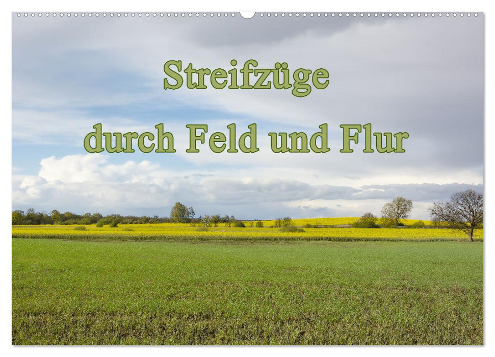 Streifzüge durch Feld und Flur (CALVENDO Wandkalender 2026)