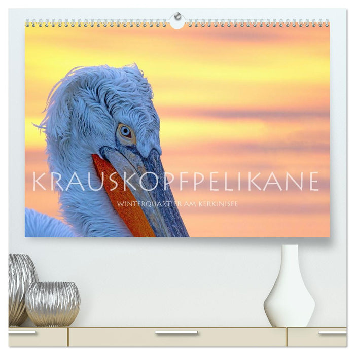 Krauskopfpelikane (CALVENDO Premium Wandkalender 2026)