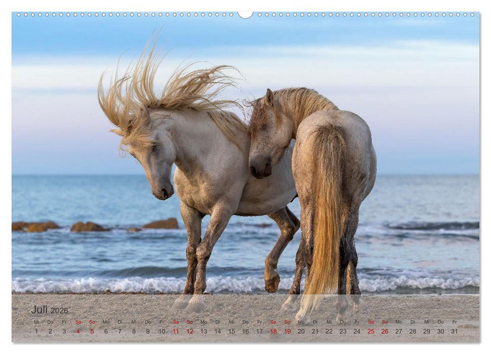 Die weißen Pferde der Camargue (CALVENDO Premium Wandkalender 2026)